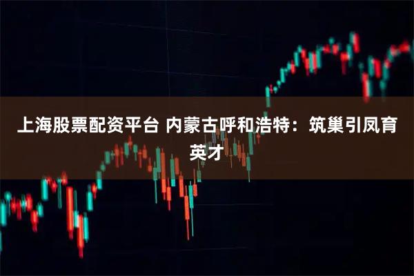 上海股票配资平台 内蒙古呼和浩特：筑巢引凤育英才